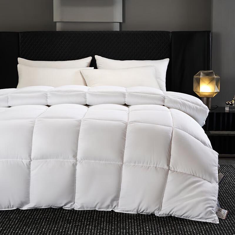 Ally Four-Season Thickened Cotton Duvet Insert