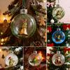 2026 Christmas Ball Ornament Set Handcrafted 3D Frog Ornament Different Frogs Theme