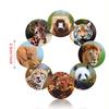 500pcs Zoo Animals Cartoon Stickers for Kids