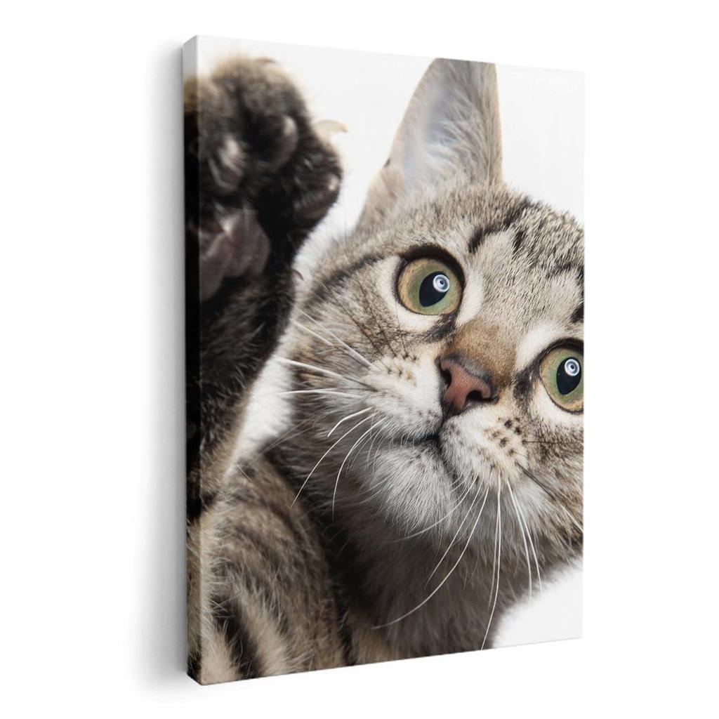 Art 420mm x Wall Wooden Stylish Interior Animal Photo Panel, Painting, Decoration, igsticker, 297mm, A3, Photo, Hanging, Frame, Decor, 002674, Animal,