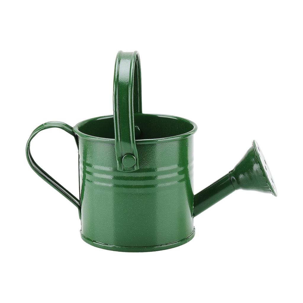 Mini Grüne Gießkanne 160ml Kleines Fassungsvermögen Gartenpflanzen Sprühkanne Topf