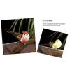 Simulation Bird Feathered Foam Bird Ornament Artificial Sparrow Statue Fake Bird with Clip for DIY Decoration Children Toy