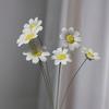 6/8/10pcs Ceramic Daisy Flowers Handcrafted Eternal Blooms DIY Ornament Home Decoration / Outdoor Photography