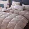Hengyuanxiang Single Fiber Winter Duvet