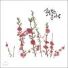 Album musicali