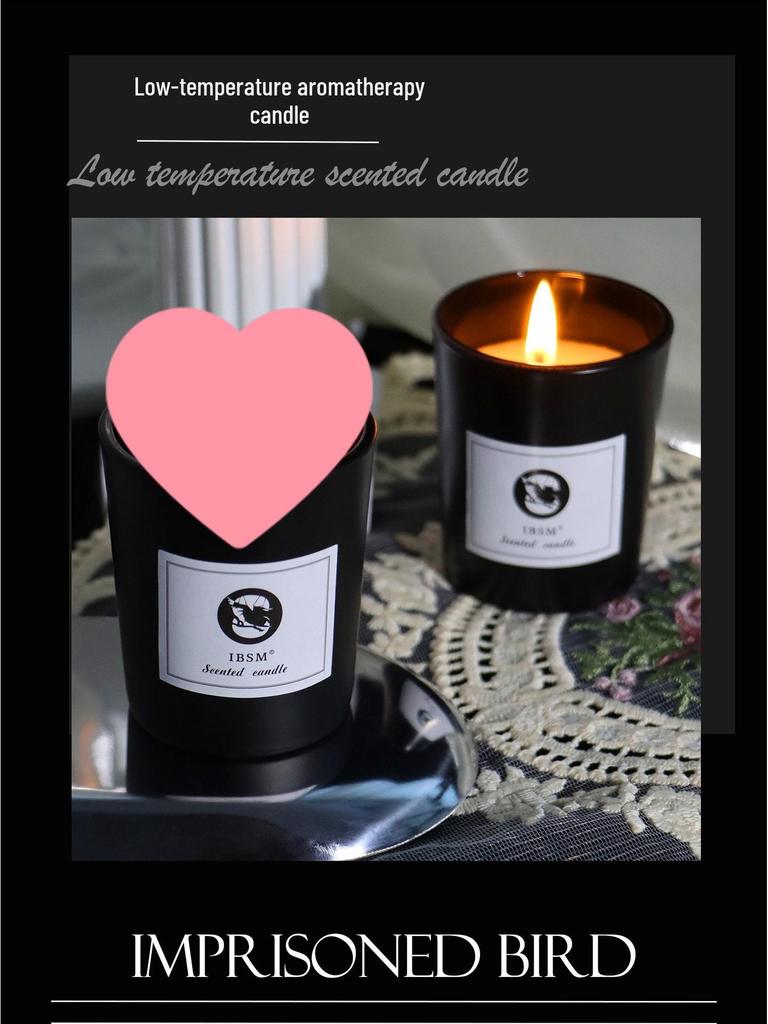 Handmade Glass Candle: Low-Temp, Safe for Beginners, Easy-Clean Aromatherapy, Bird Cage Holiday Gift