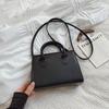 New Small Bag Women's 2025 Spring New Fashion Messenger Bag Fashion Texture Shoulder Handbag