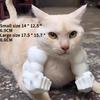 NEW Cat Muscle Arm Pendant Hulk Toy 3D Printed Neck Hanging Prank Toy Pet Arm Ornament