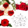 7Pcs Rose Flower Leaf Cutter Molds  Fondant Modelling Tool Dessert Cutters Fondant Biscuits Cutter Easy To Clean