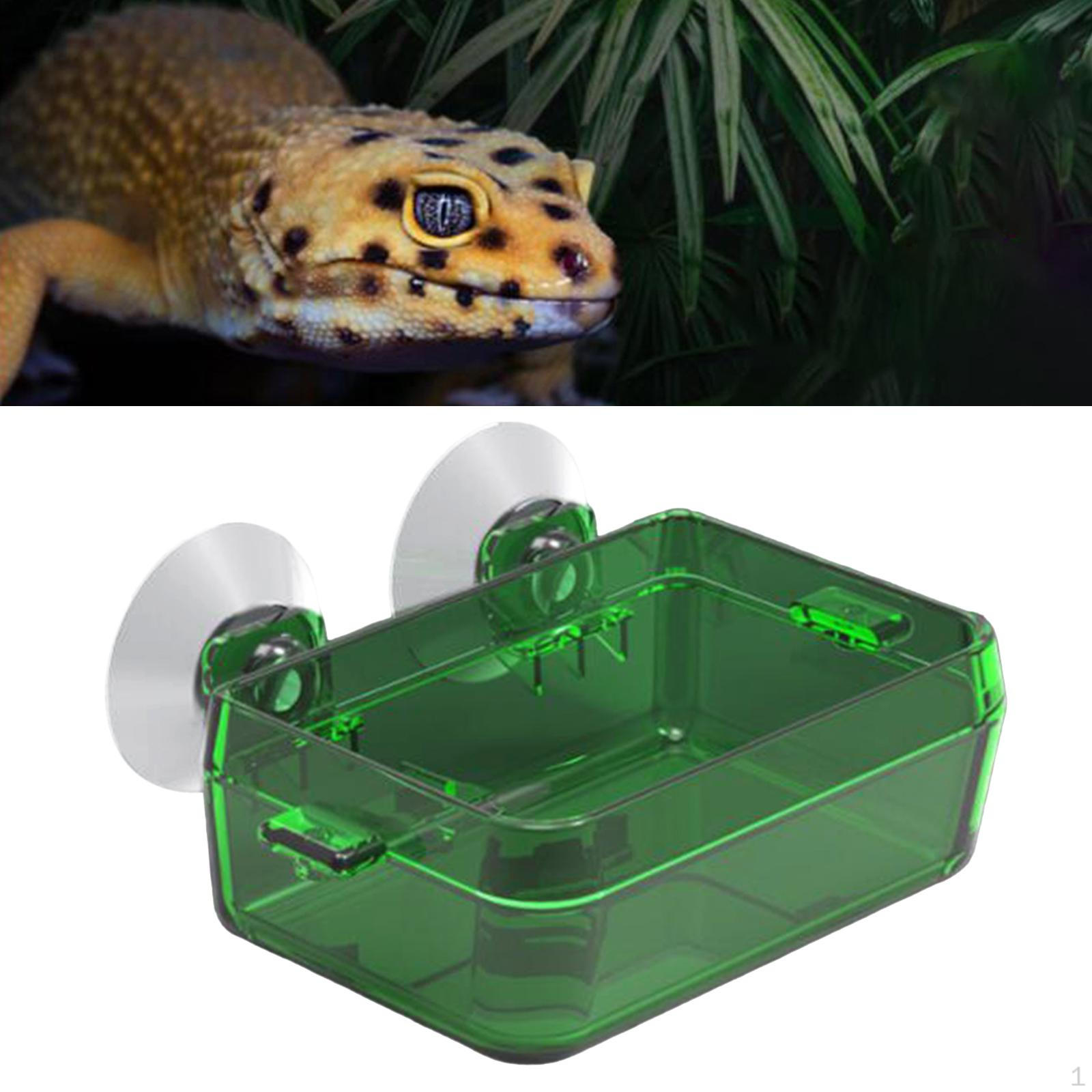 

Reptile Feeder, Water Food Bowl Dish Basin Utensil Accessory Container, Luguana, Bearded Dragon, 9x6x3.5cm Green