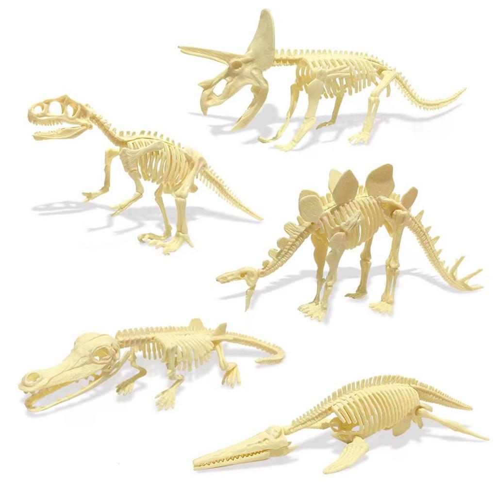 Dinosaurier Ausgrabung Archäologisches Modell Spielzeug Simulation Skelett Schatz Geschenk