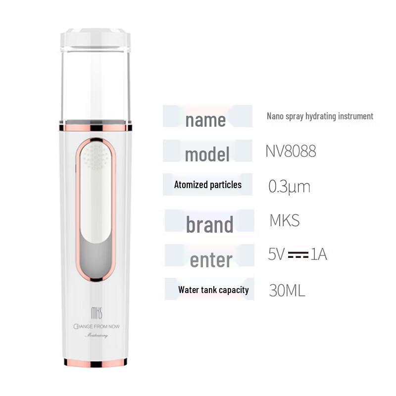 MKS Portable Nano Mist Facial Sprayer CN plug (adapter included)