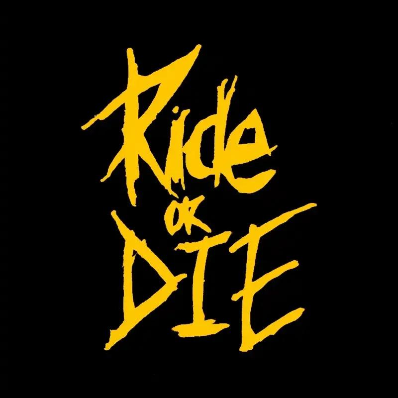 Motorcycle Stickers, Car Motorcycle Stickers, Bicycle Waterproof Vinyl Stickers, Motorcycle Stickers