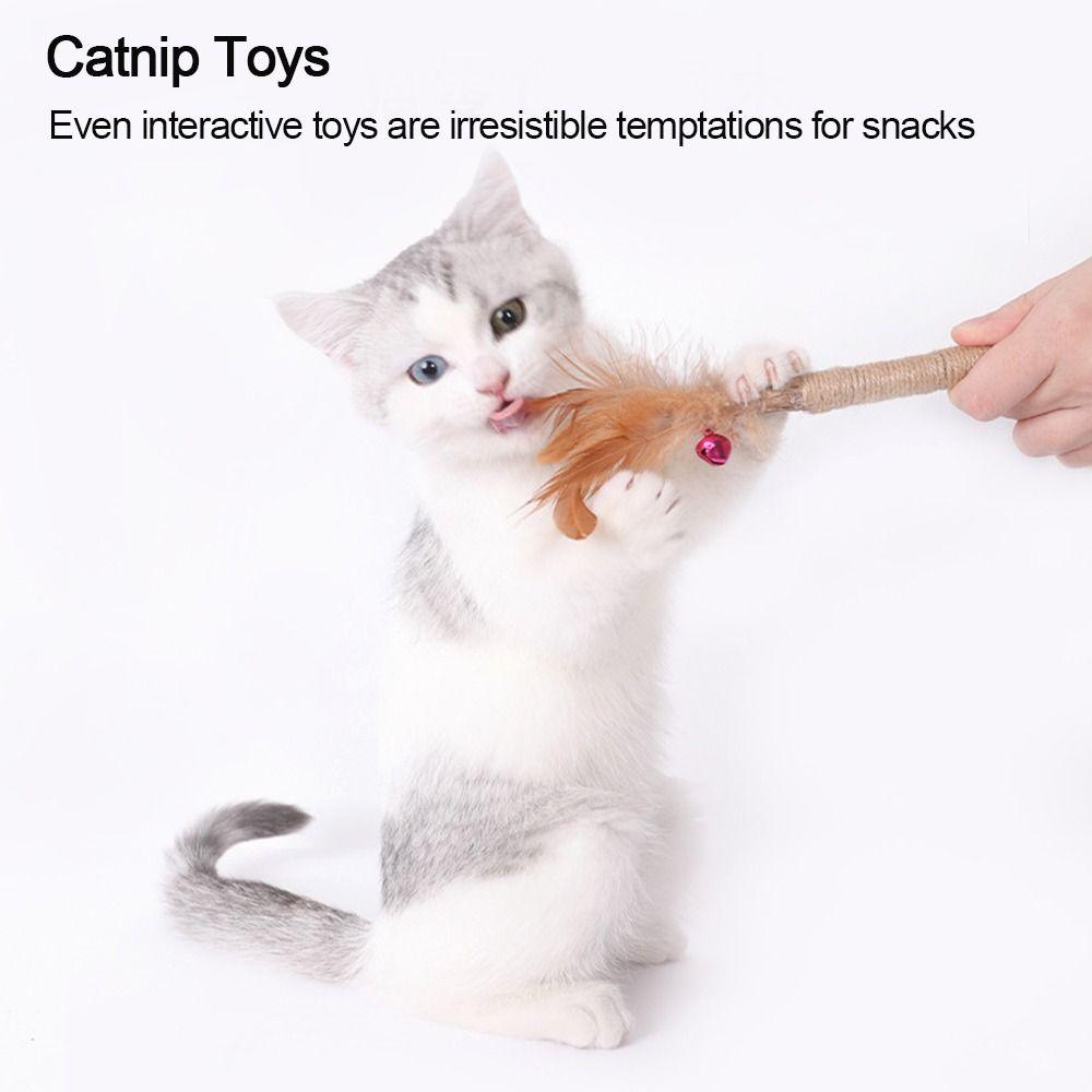 Indoor Toys Cat Toys Chew Toy Cat Crack Cat Wall Toy Wellness Cat Food Silvervine Sticks Cat Chew Sticks Catnip Toys