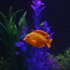 4PCS Set Silicone Aquarium Artificial Fake Fish Lifelike Fish Tank Ornament Luminous Fish  Aquarium