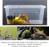 Reptile Feeding Box Snake Breeding Box Transparent Animal Habitat Cage Portable Plastic Turtle Transport Container For Bearded D