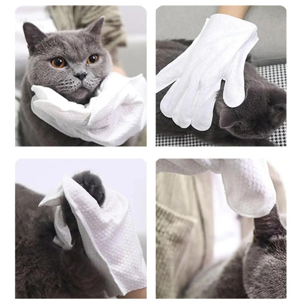 6Pcs Set Pet Care Paws Cleaning Pet Wipes Gloves Pet Wipes Deodorizing Cleaning Wipes Muti-purpose Disposable Gloves