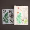 5Pcs Flower/Leaf/Butterfly Stencils PET Painting Templates For Painting on Paper Wood Metal Glass Fabric Wall Decoration