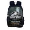 Jurassi Print C School Backpacks for boys Girls Park Resistant School Student College Bag Dinosaur  Printing Bookbags