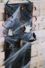 Halloween Decorative Spiderweb + Spiders, White, 60g
