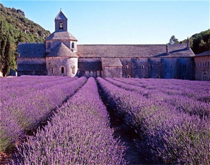 RUOPOTY Painting By Number Lavender Landscape Handpainted Unique Gift Picture Coloring By Numbers Balloon Children's Room Decor