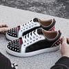 New trendy shoes 2025 European and American fashion silver face low-top DingTalk casual board shoes lace-up shallow shoes rivet men's shoes