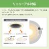 NEC HotaluX LED Downlight (Made in Japan) SB Type, 125mm diameter mounting hole, Daylight White, MRD06013(RP)BW2N-1