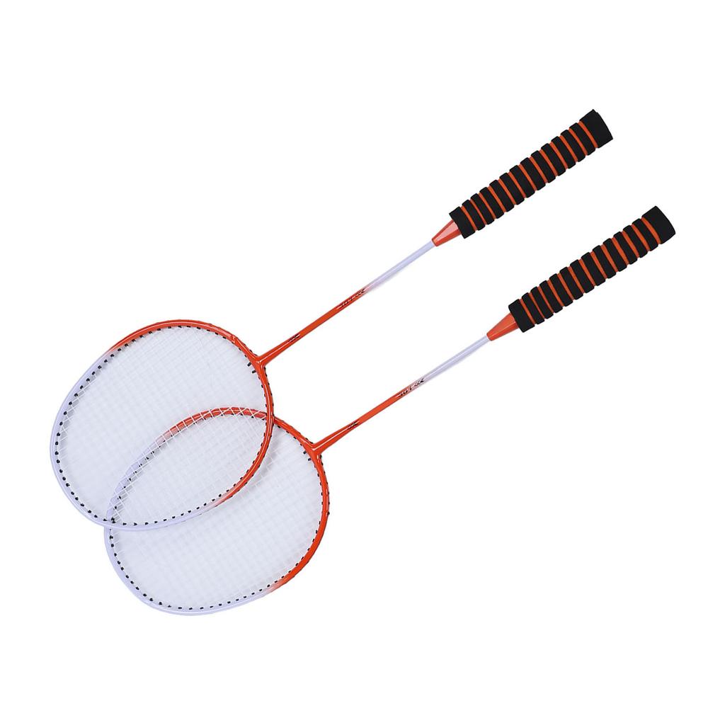 Badminton Set Professional Alloy Badminton Racket with 3 Shuttlecocks Carrying Bag for Beginner