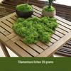 Artificial Bionic Moss for DIY Micro Landscape Bonsai and Lawn Ornaments