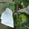 100pcs Semi Transparent Grape Protection Bags Waterproof Against Insect Pouch  Garden Tool