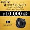 SONY (Sony) Standard Single Focus Lens Full Size FE 50mm F2.5 G Lens Digital Single Lens Alpha [E...