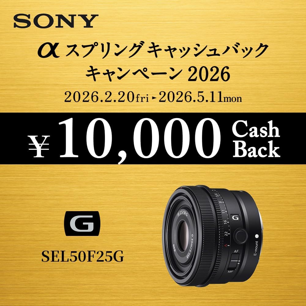 SONY (Sony) Standard Single Focus Lens Full Size FE 50mm F2.5 G Lens Digital Single Lens Alpha [E...