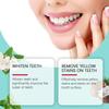 Toothpaste Gently Cleans Odor Stains And Dirt Care For Teeth Daily Cleaning And Care Toothpaste