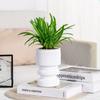 Creative Self Watering Hydroponic Plants Pot Plastic Removable Flowerpot Mini Succulent Planter Tabletop Vase
