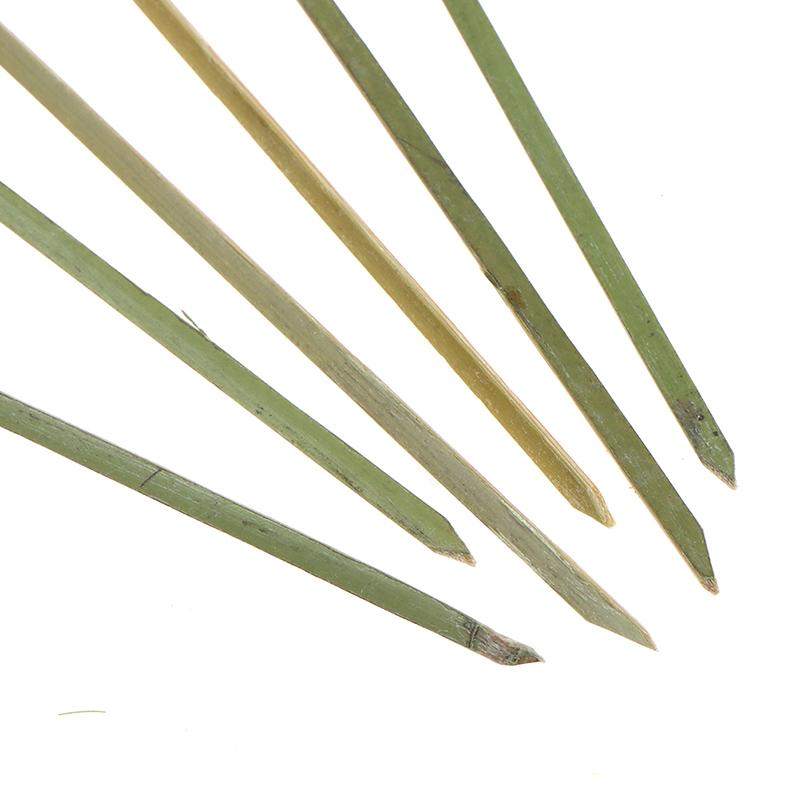 100 Pcs Bamboo Knot Skewers Cocktail Picks For Cocktail Party Snacks Sandwiches