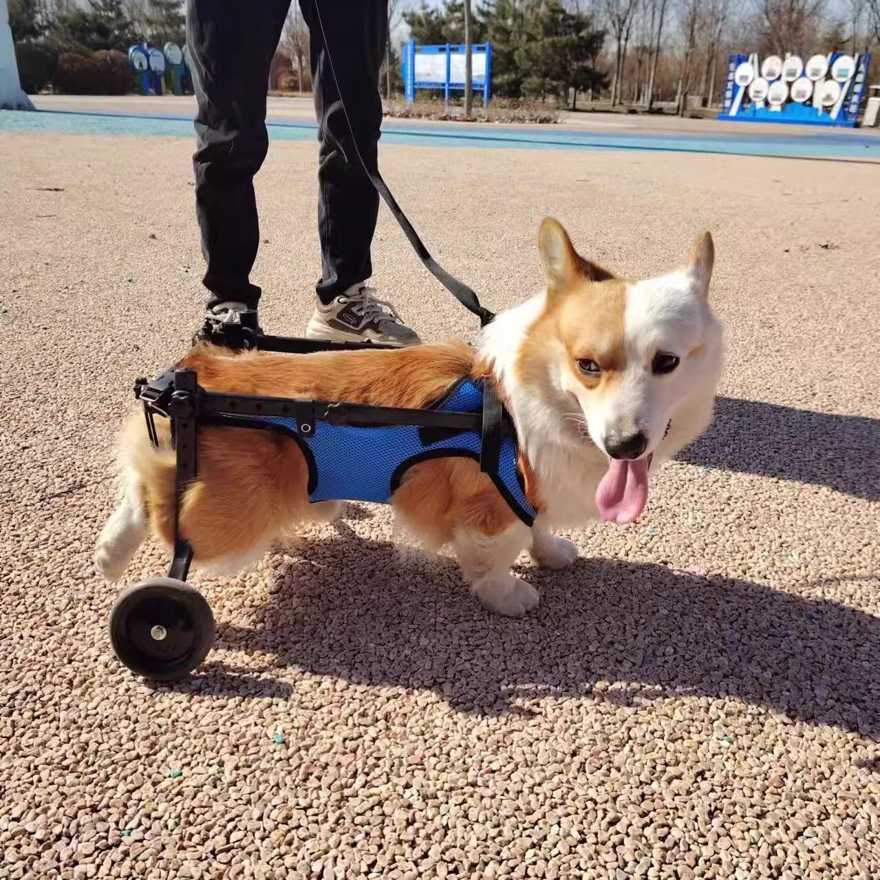 Adjustable Dog Wheelchair for Hind Leg