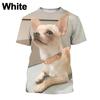Chihuahua Dog T-Shirt 3D Printed Dog T-Shirt Fun Short Sleeve Cute Top for Boys