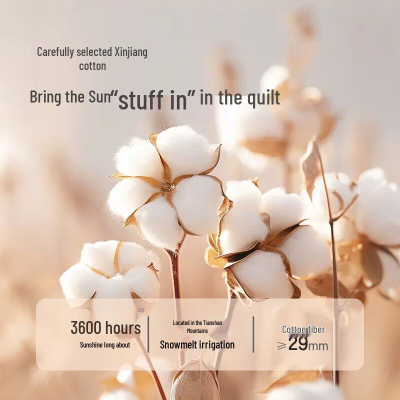 Ranpai 100% Xinjiang Long-Staple Cotton Quilt