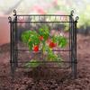 5 Pack Plant Protector from Animals 13.4'' X 13.4'' Metal Plant Cage