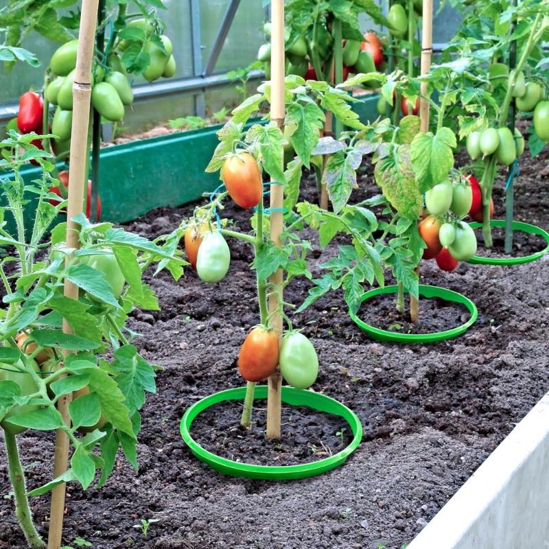 4pcs Gardening Support Circlets Maintain Soil Moisture Protect Bushes From Parasites and Equipment Damage