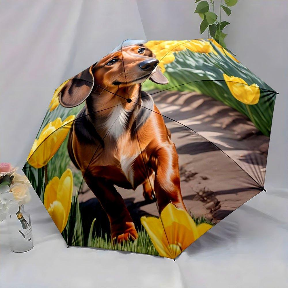 Folding umbrella Dachshund walking among yellow tulips. Creative portable folding umbrella for Christmas and other holiday