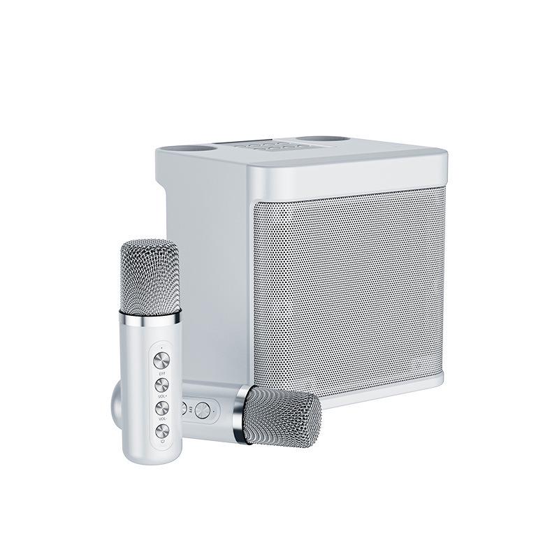 YS203k Bluetooth Karaoke Speaker with Wireless Microphone and Subwoofer