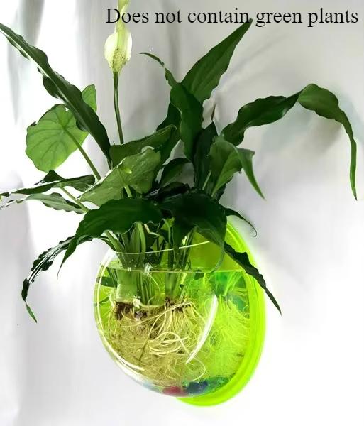 Pinsjar Acrylic Fish Bowl Wall Hanging Aquarium Tank Aquatic Pet Supplies Pet Products Wall Mount Fish Tank for Betta Fish