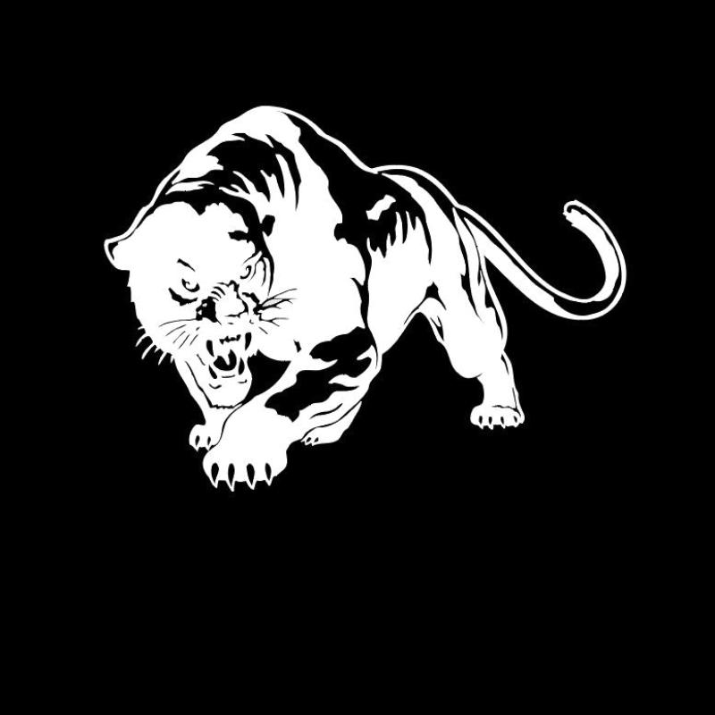 

Автомобильная наклейка «Огненная дикая пантера», украшения для тела для охоты, автомобили, мотоциклы, внешние аксессуары, виниловые наклейки 20CM X 13.6CM