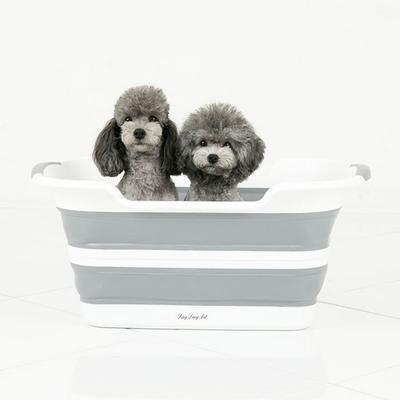Dingdongpet Dog Basic Folding Bathtub Medium Size, Gray, 1 Piece, Korean Pet Shampoo