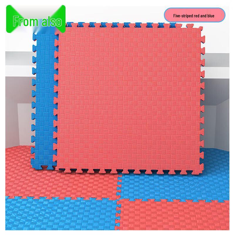 Congye Interlocking Taekwondo & Sports Training Mat