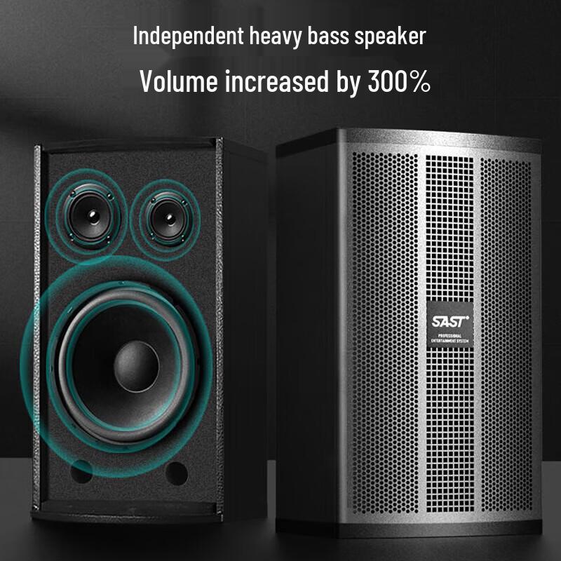 Xianke H10 10-inch Professional Passive KTV Speaker System