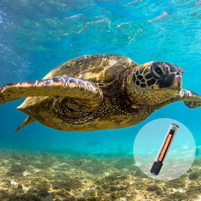 1.25 X 7mm Implanted Microchip Transponder Lightweight Animal Chip Syringe For Cat Dog Hamster