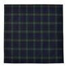COLORFUL CANDY STYLE Lunch Cloths/School Lunch Napkins (45cm X 45cm), Water-Repellent, No-Iron, Set of 2, Tartan Check and Dark Green, Water-Repellent