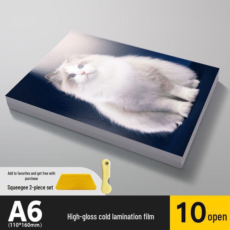 Self-Adhesive Transparent Photo Lamination Film for Leaf Specimens & Refrigerator Magnets